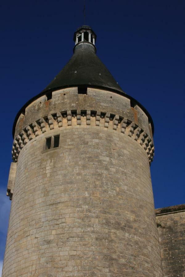 Quai Souchet Villa Libourne Exteriör bild